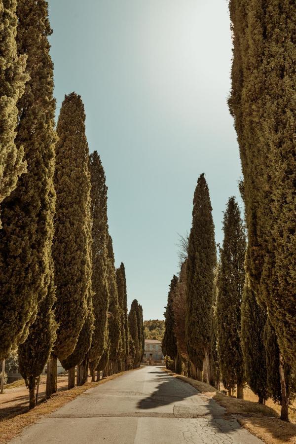 Villa Casa Cavi Istria Oprtalj Exterior foto